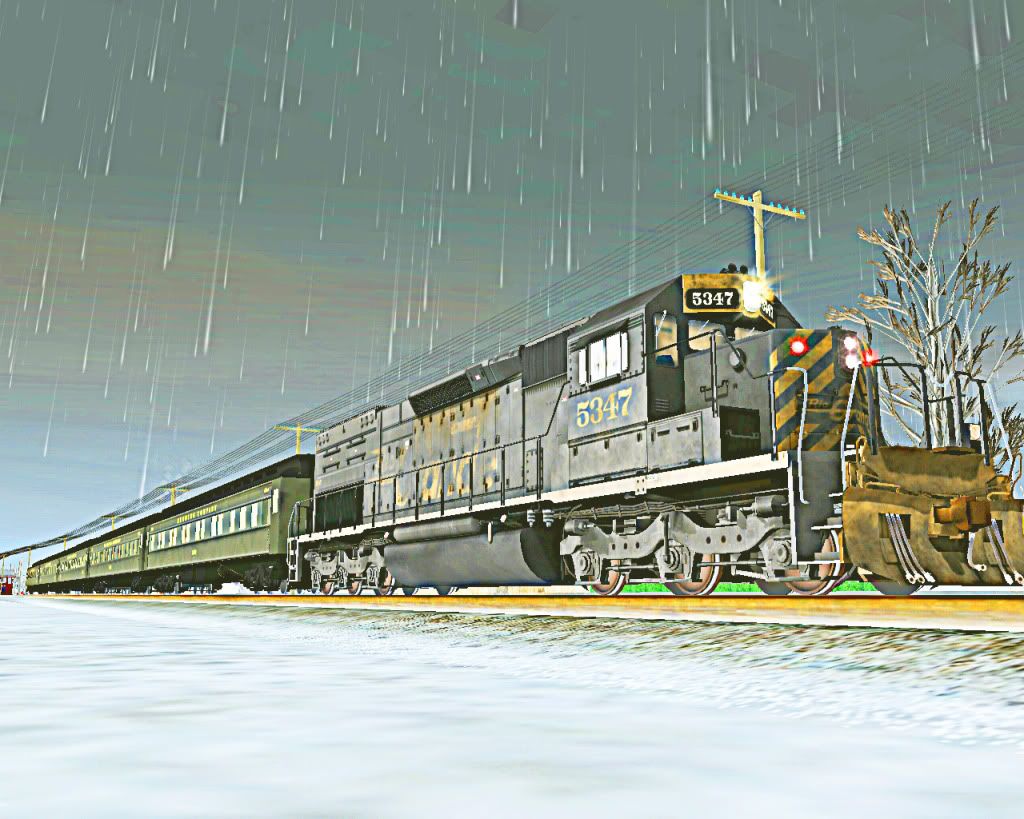 kamran_20111125_00166.jpg