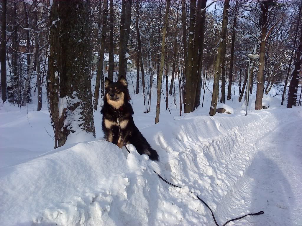 DSC00025.jpg