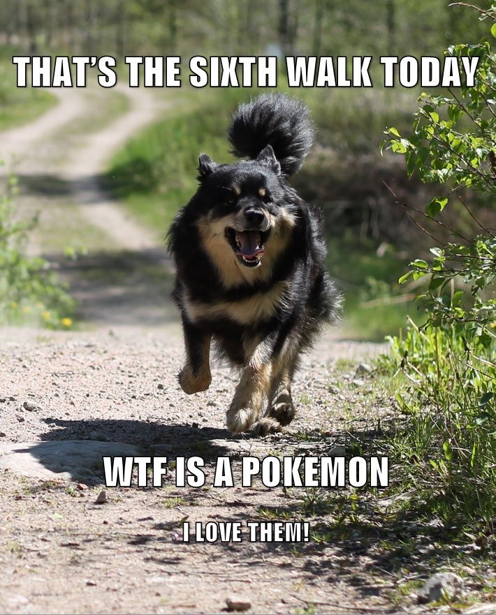 Pkmn%20meme_zpsvd0hwmpo.jpg