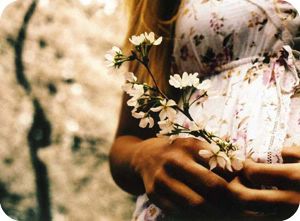 photography Pictures, Images and Photos