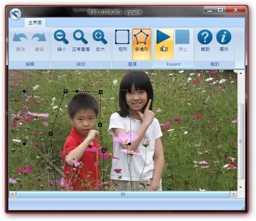 Teorex Inpaint v3.0 去除照片瑕疵-去除圖片指定部分_繁體中文