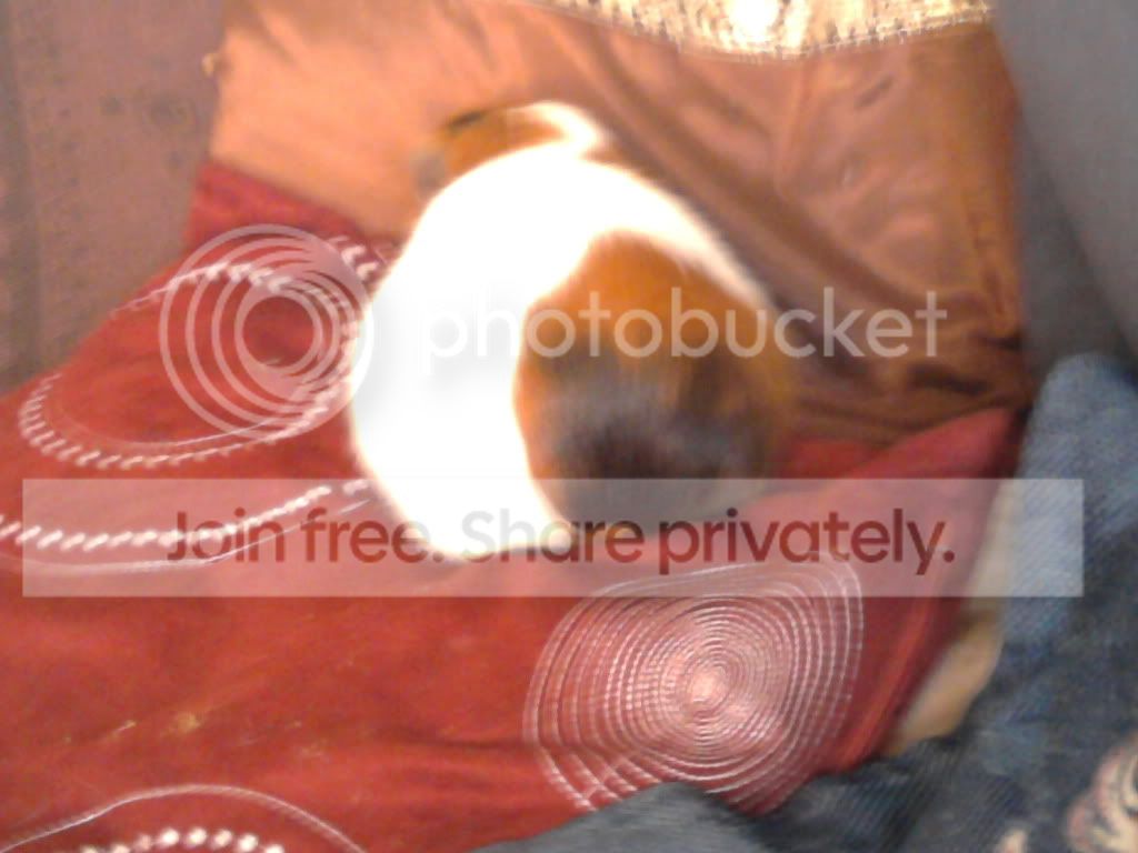 Photo0210.jpg