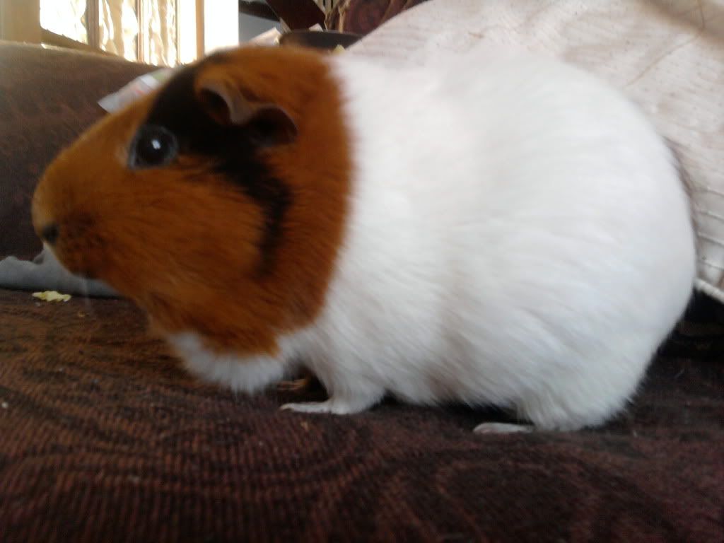 Photo0214.jpg