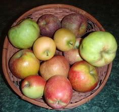 Antique Apple Basket