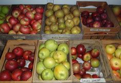 Antique Apple Crates