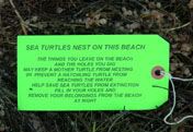 Beach Hole Turtle Sign