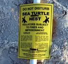 Turtle nesting sign