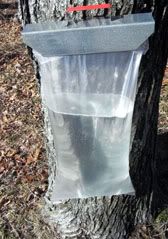 Sap Bag