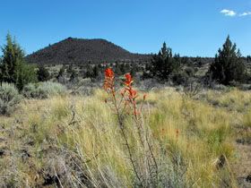 Scenic Lava Beds