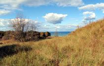 Warren Dunes