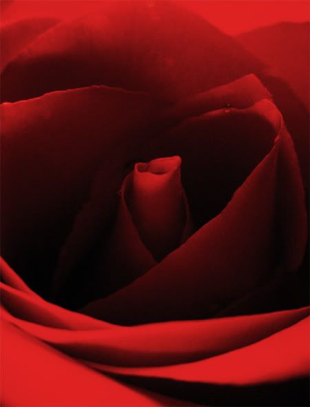 _love__by_witchlady750.jpg